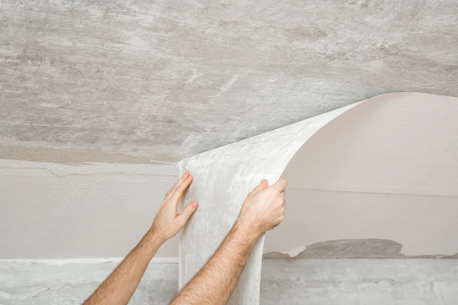 Professional Wallpaper Removal Bluffton, SC Professional Wallpaper Removal Bluffton, SC