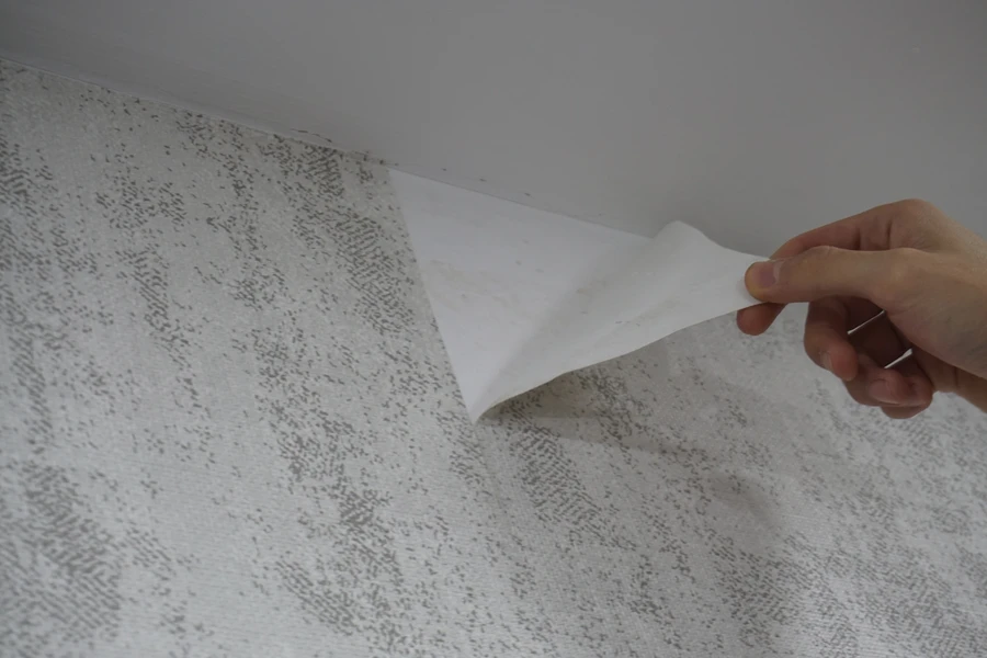 Reliable Wallpaper Removal Bluffton, SC Reliable Wallpaper Removal Bluffton, SC